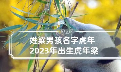 姓粱男孩名字虎年2023年出生 虎年梁姓取名