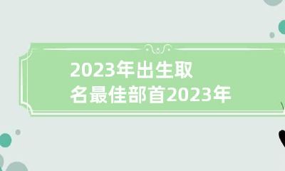 2023年出生取名最佳部首 2023年女宝宝名字