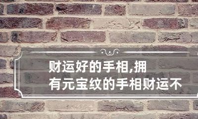 财运好的手相,拥有元宝纹的手相财运不断