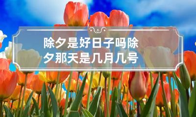 除夕是好日子吗 除夕那天是几月几号