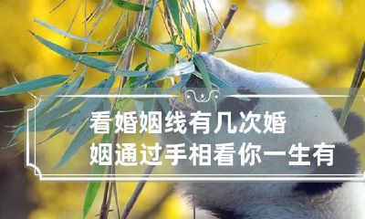 看婚姻线有几次婚姻 通过手相看你一生有几次婚姻