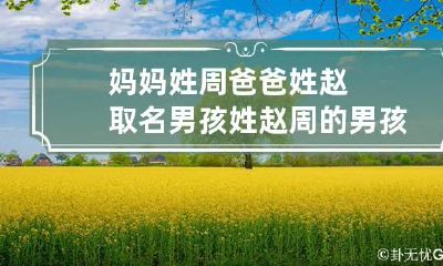 妈妈姓周爸爸姓赵取名男孩 姓赵周的男孩名字