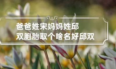 爸爸姓宋妈妈姓邱双胞胎取个啥名好 邱双胞胎女孩名字