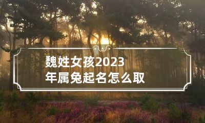 魏姓女孩2023年属兔起名怎么取