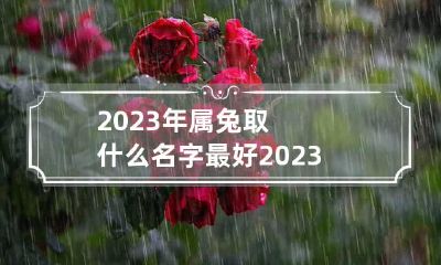 2023年属兔取什么名字最好 2023年属兔取名宜用字