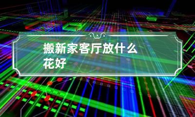 搬新家客厅放什么花好