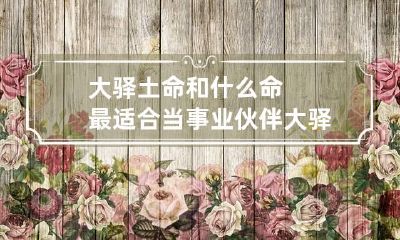 大驿土命和什么命最适合当事业伙伴 大驿土命是什么意思?这个命好不好