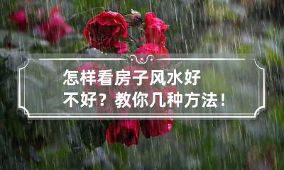 怎样看房子风水好不好？教你几种方法！