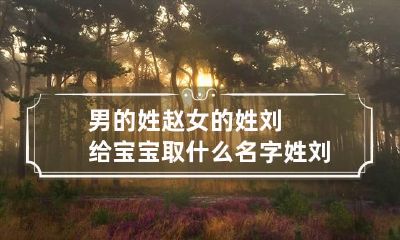 男的姓赵女的姓刘给宝宝取什么名字 姓刘和姓赵的宝宝取名