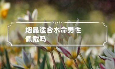 烟晶适合水命男性佩戴吗