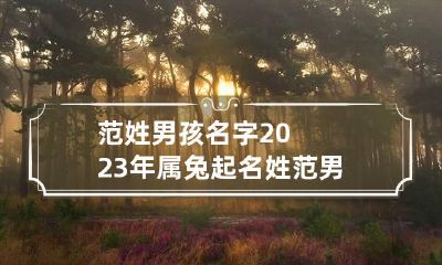 范姓男孩名字2023年属兔起名 姓范男孩子牛年起什么名字