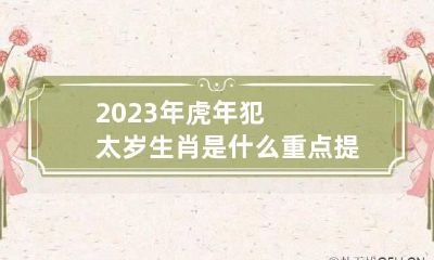 2023年虎年犯太岁生肖是什么?重点提醒以上五个生肖!