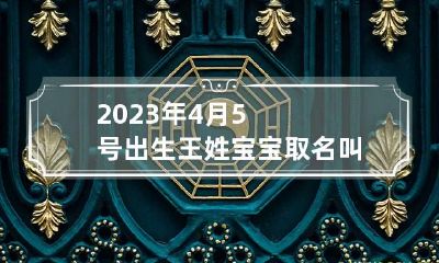 2023年4月5号出生王姓宝宝取名叫什么 2023年4月5日农历
