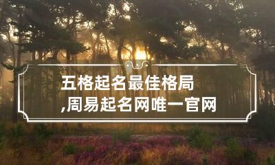 五格起名最佳格局,周易起名网唯一官网免费