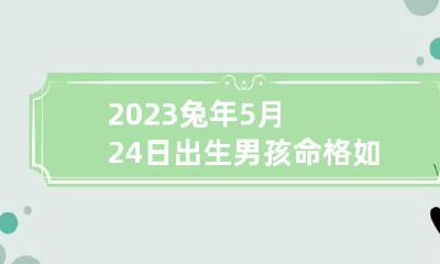 2023兔年5月24日出生男孩命格如何 2023年属兔五月是什么命