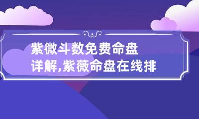 紫微斗数免费命盘详解,紫薇命盘在线排盘算命