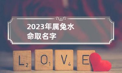2023年属兔水命取名字