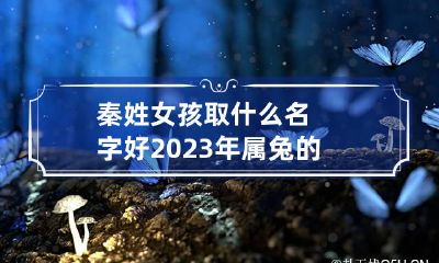 秦姓女孩取什么名字好2023年属兔的 秦姓女孩取什么名字好2023年属兔的宝宝