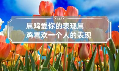 属鸡爱你的表现 属鸡喜欢一个人的表现