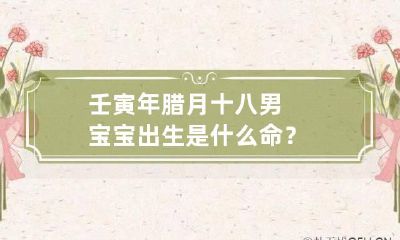 壬寅年腊月十八男宝宝出生是什么命？