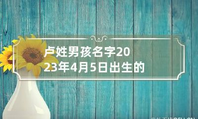 卢姓男孩名字2023年4月5日出生的 卢姓男孩名字2023年4月5日出生的人