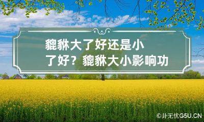 貔貅大了好还是小了好？ 貔貅大小影响功效吗