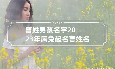 曹姓男孩名字2023年属兔起名 曹 姓名 男孩