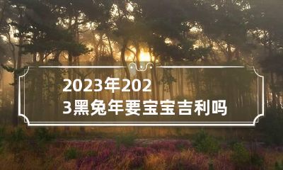 2023年2023黑兔年要宝宝吉利吗 2023年 黑兔