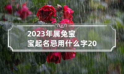 2023年属兔宝宝起名忌用什么字 2023年兔宝宝好吗?