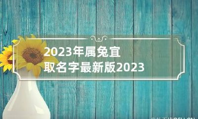 2023年属兔宜取名字最新版 2023年属兔人起名字
