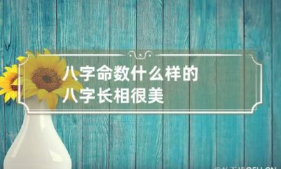 八字命数 什么样的八字长相很美