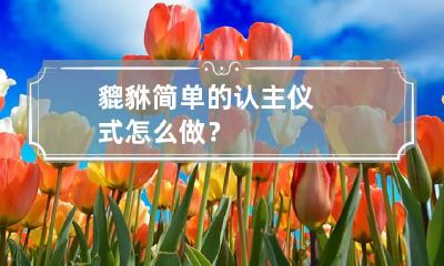 貔貅简单的认主仪式怎么做？