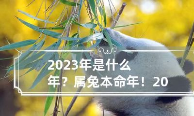 2023年是什么年？属兔本命年！ 2023年是什么年?属兔本命年是哪一年