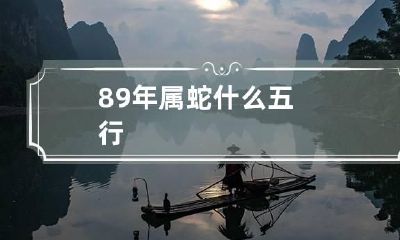 89年属蛇什么五行