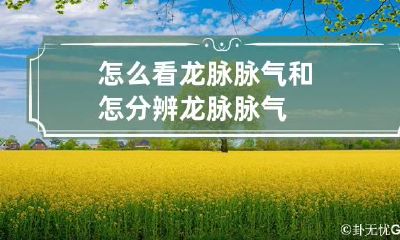 怎么看龙脉脉气和怎分辨龙脉脉气