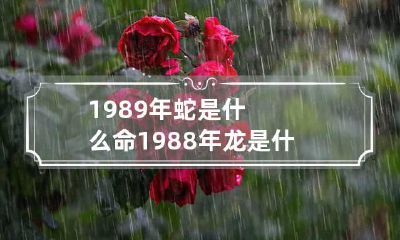 1989年蛇是什么命 1988年龙是什么命五行属什么