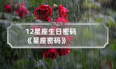 12星座生日密码《星座密码》