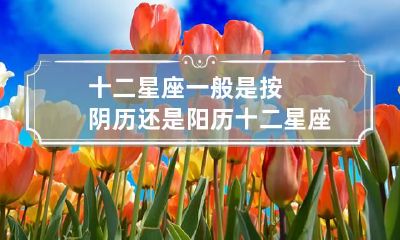 十二星座一般是按阴历还是阳历 十二星座是按阳历还是按阴历的