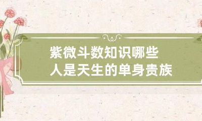 紫微斗数知识 哪些人是天生的单身贵族
