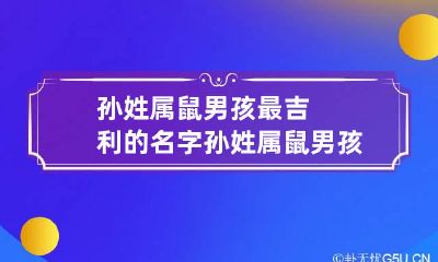 孙姓属鼠男孩最吉利的名字 孙姓属鼠男孩最吉利的名字有哪些