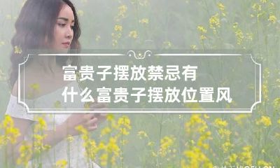 富贵子摆放禁忌有什么 富贵子摆放位置风水