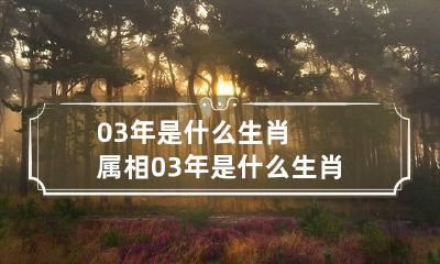 03年是什么生肖属相 03年是什么生肖年