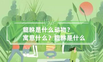 貔貅是什么动物？寓意什么？ 貔貅是什么动物相关图片