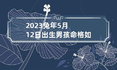 2023兔年5月12日出生男孩命格如何 2023兔年5月12日出生男孩命格如何看