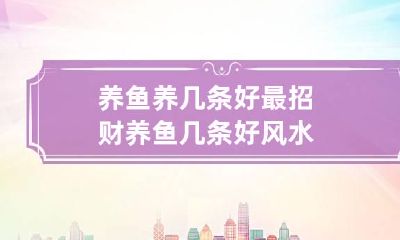 养鱼养几条好最招财 养鱼几条好风水