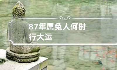 87年属兔人何时行大运