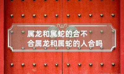 属龙和属蛇的合不合 属龙和属蛇的人合吗
