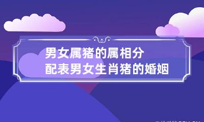 男女属猪的属相分配表 男女生肖猪的婚姻如何?