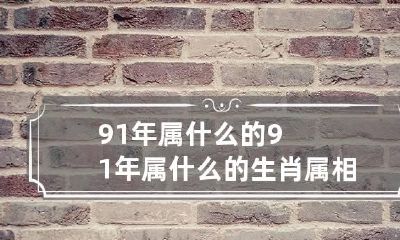 91年属什么的 91年属什么的生肖属相
