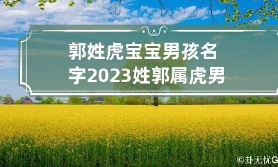 郭姓虎宝宝男孩名字2023 姓郭属虎男孩取名